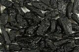 Indochinite Tektites (3-10 Grams) - Vietnam - Photo 2